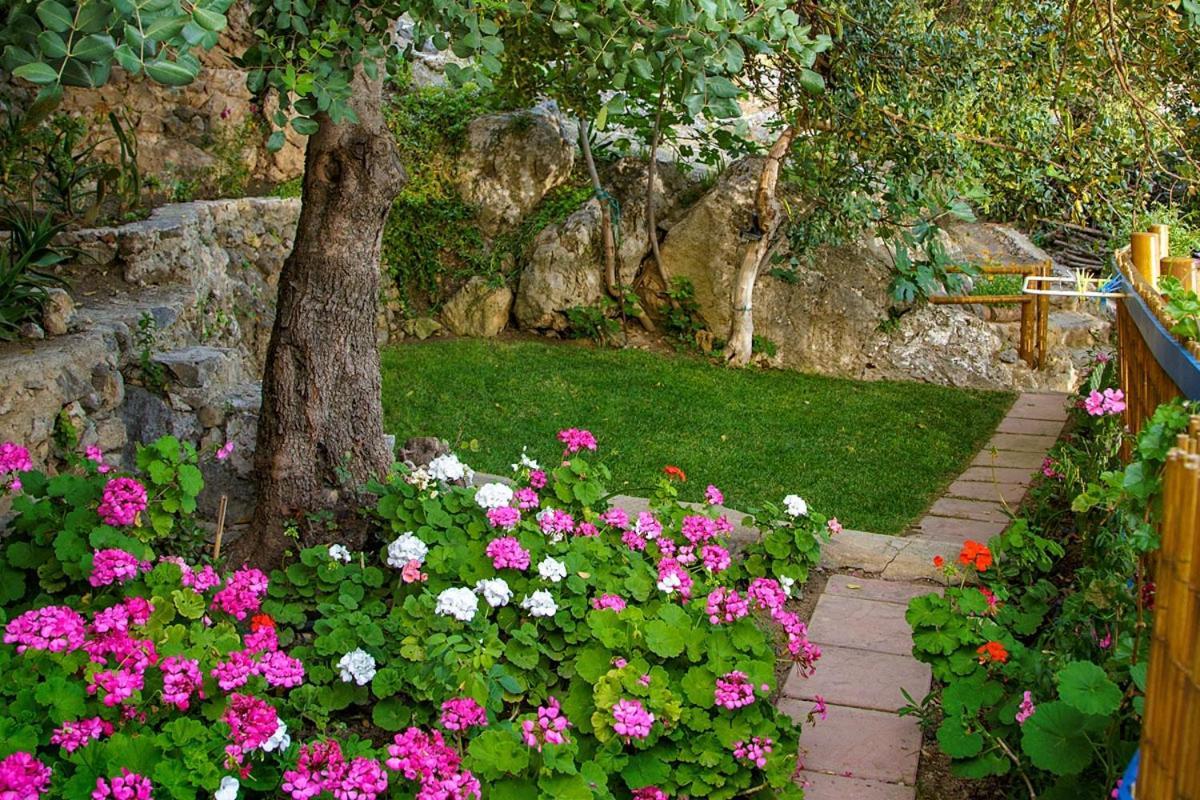 Mirthios-Hill Apartments Plakias Bagian luar foto
